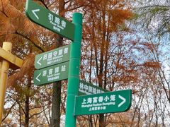 -柳鹭田园区