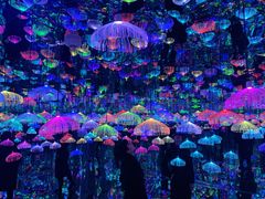 -天津梵高星空艺术馆(天河城旗舰店)
