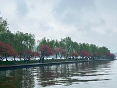 -王氏烧饼无矾油条