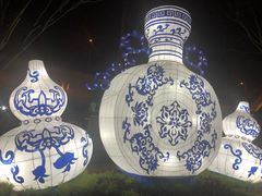 -锦江乐园舞狸花花游园会(夜场专享)