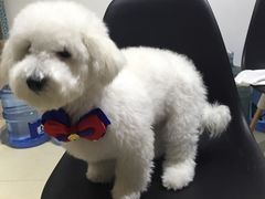 -1013 PET SHOP 宠物商店(近铁城市广场店)