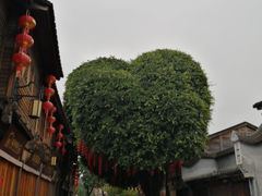 -广达眼镜炖罐(广达店)