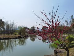 -兰亭风景区