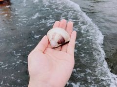 -台山黑沙湾海浴场