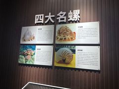 -贝壳王国博物馆