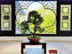 -扬州大运河文化旅游度假区·盆景园