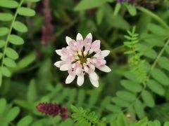 -沈阳森林动物园