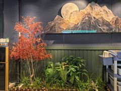 -鹿鸣山草本茶香火锅(园西路店)