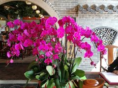 -顺德了能馆(虎门店)