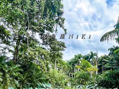 -中国科学院西双版纳热带植物园