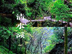 -南山植物园