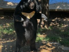 -石家庄市动物园