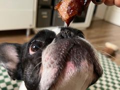 -都士牧人现烤牛肉干