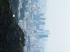 -紫金山山顶公园