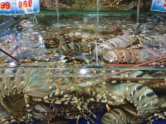 -东江海鲜酒家(艺都分店)
