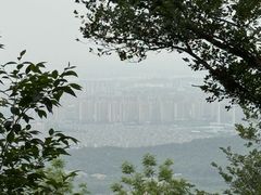 -紫金山山顶公园