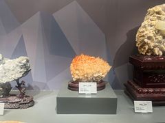 -湖南省地质博物馆