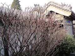 -戚继光故里