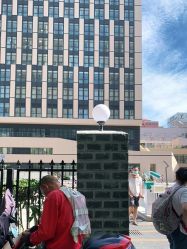 点击看大图 -上海交通大学医学院附属上海儿童医学中心(陆家嘴总院区)