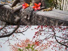 -喜洲吧·江畔老船厂·庭院餐厅(喜临院店)