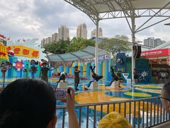 -海合安成都极地海洋公园