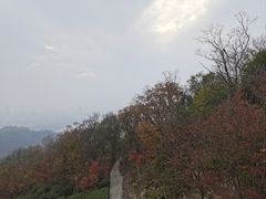 -紫金山山顶公园