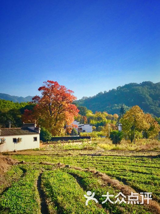 塔川景區圖片 - 第141張