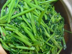 -熠盛粤味·顺德桑拿鸡(永康路店)