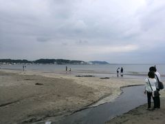 -麻心