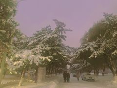 -东北大学(南湖校区)
