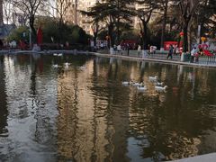 -西安市长乐公园