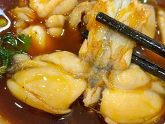 -品鱻黑豆花美蛙鱼(西政店)