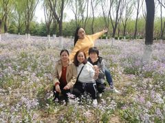 -永定河休闲森林公园