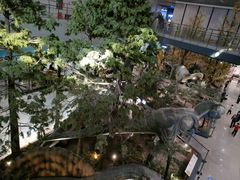 -湖南省地质博物馆