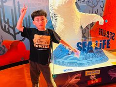 -沈阳海洋探索中心