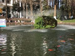 -温江公园
