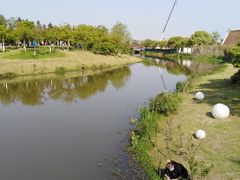 -瑶湖郊野森林公园