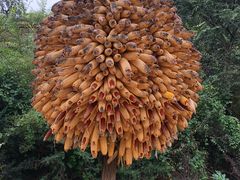 -梁家河村红色旅游区