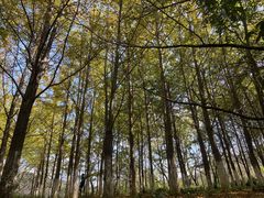 -白马涧龙池景区