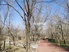 -国家植物园南园