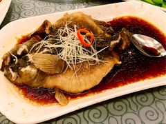 多宝鱼-申粤轩酒楼·三十年粤菜经典(丁香花园店)