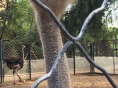 -长白岛森林公园