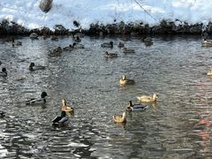 -水磨沟公园