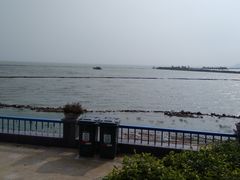 -合肥滨湖国家森林公园