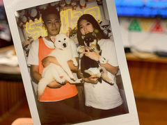 -豆柴町-柴犬主题狗咖(红鼎国际C座店)