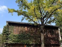 -惠山古镇·寄畅园