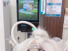 -美联众合动物医院·24h京西诊疗中心