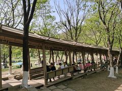-高尔山公园