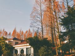 -上海怡沁园度假酒店