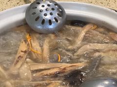 -杨记山珍鸡煲菌汤锅
